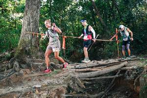 BIB: 
                            <button type="button" onclick="openModal(27301763)" class="btn btn-primary btn-sm float-right btn-popup" data-toggle="modal" data-target=".modal-high-quality">
                        <i class="fas fa-shopping-cart"></i> Add to Cart
                    </button>
                                            <button type="button" onclick="isThisMe(27301763, true)" class="btn btn-success btn-sm float-right btn-popup btn-isme hidden" data-toggle="tooltip" data-placement="bottom" title="นี่คือรูปของคุณใช่ไหม คลิกที่นี่เพื่อเอาเข้าอัลบั้ม">
                        <i class="fas fa-plus"></i> Add to album
                    </button>
                    <button type="button" onclick="isThisMe(27301763, false)" class="btn btn-warning btn-sm float-right btn-popup btn-isnotme hidden">
                        <i class="fas fa-ban"></i> Remove from album
                    </button>